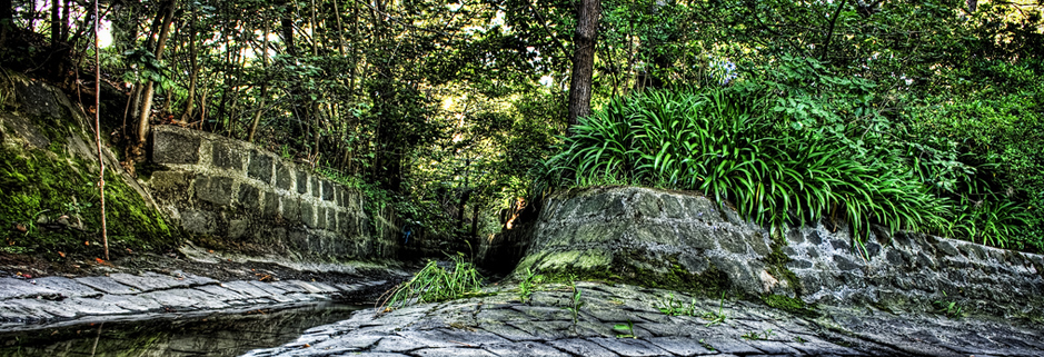 推荐一个云呼网页版免费试用